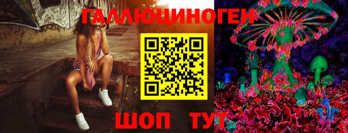 магазин продажи   Псилоцибиновые грибы мицелий  Вход с VPN  Шахты 