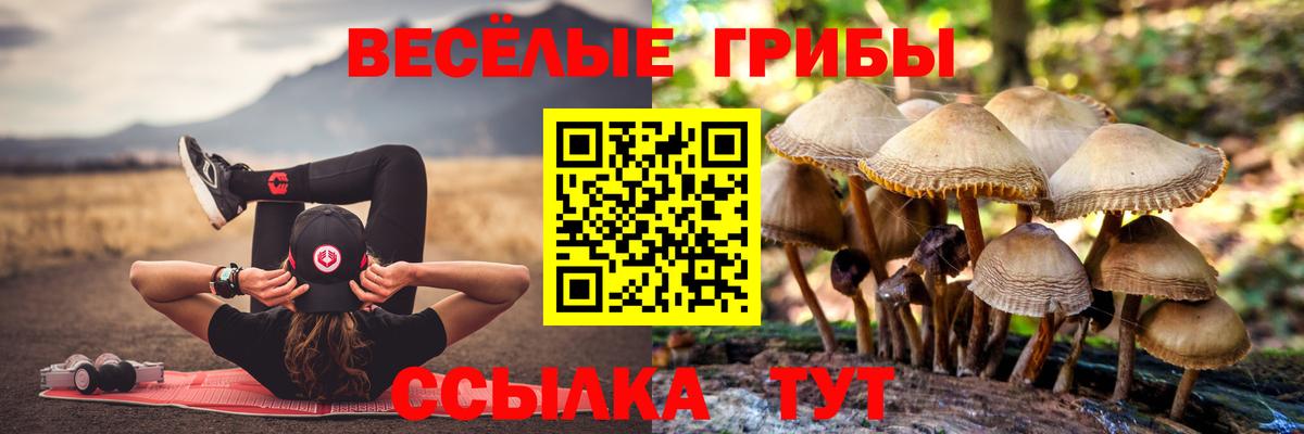 Галлюциногенные грибы Cubensis Шахты